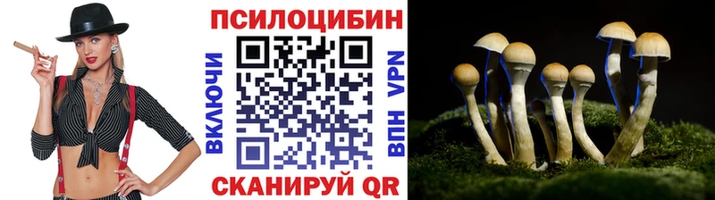 Галлюциногенные грибы Psilocybe Калининск