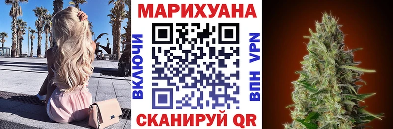 Марихуана сатива  как найти наркотики  Калининск 
